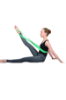 Superiorband Professional Stretch & Strengthening System